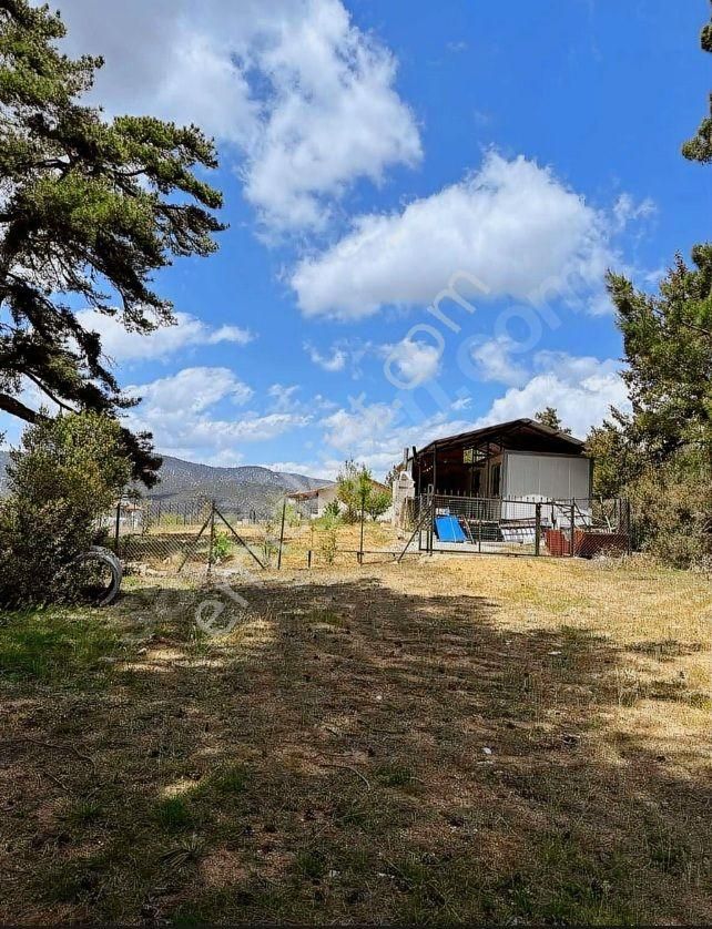 Goldhouse Dan Satılık 2+1 Konteyner Ev Ve Arsası