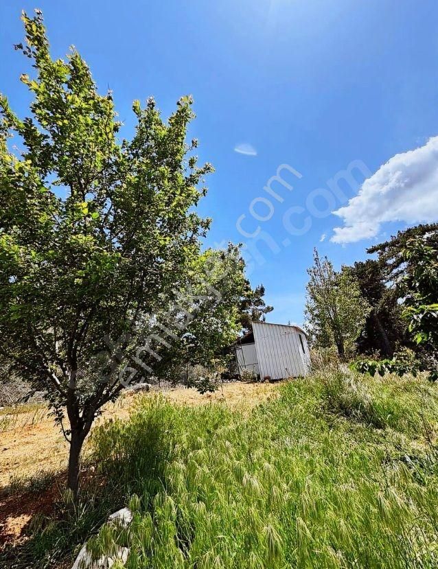 Goldhouse Dan Satılık 2+1 Konteyner Ev Ve Arsası - Görsel 8