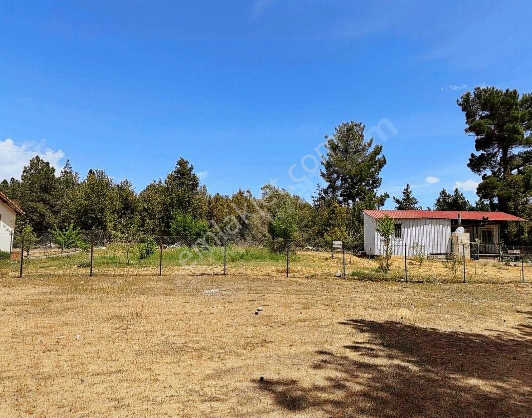 Goldhouse Dan Satılık 2+1 Konteyner Ev Ve Arsası - Görsel 2