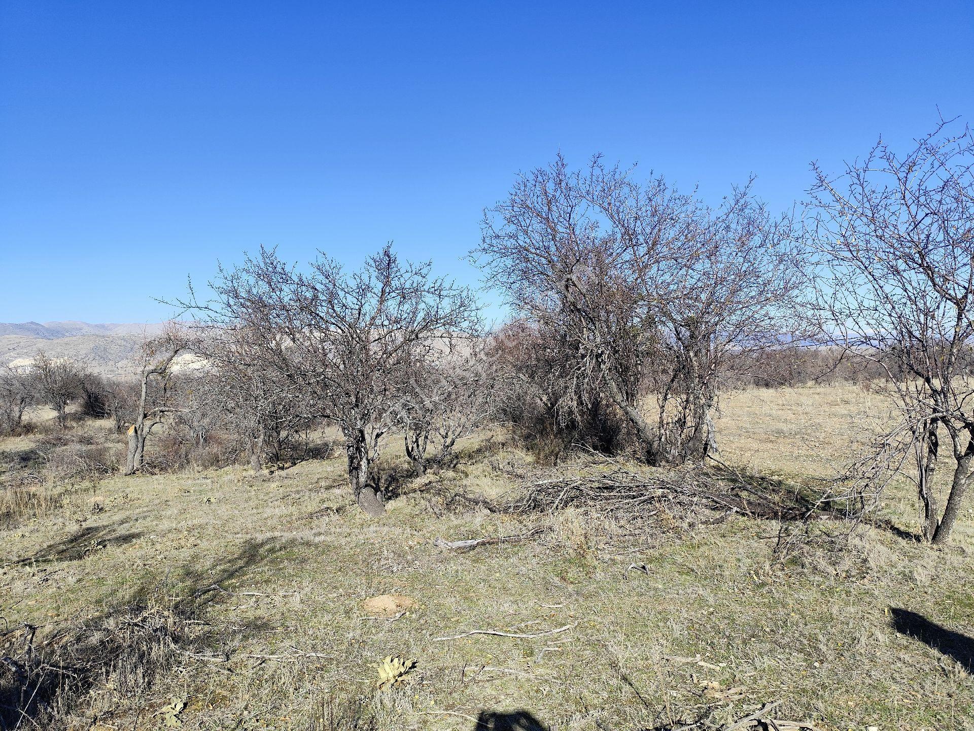 Isparta Senirkent 1800 M2 - Görsel 11