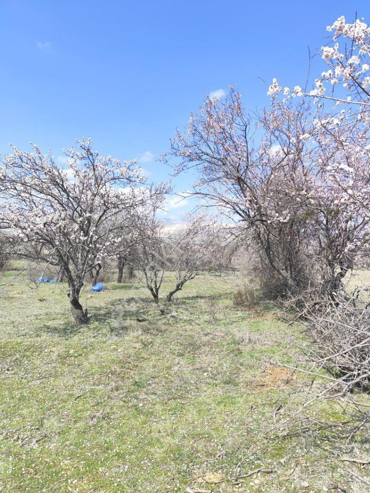 Isparta Senirkent 1800 M2 - Görsel 3