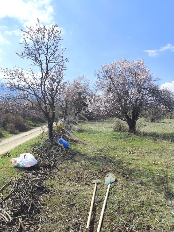 Isparta Senirkent 1800 M2