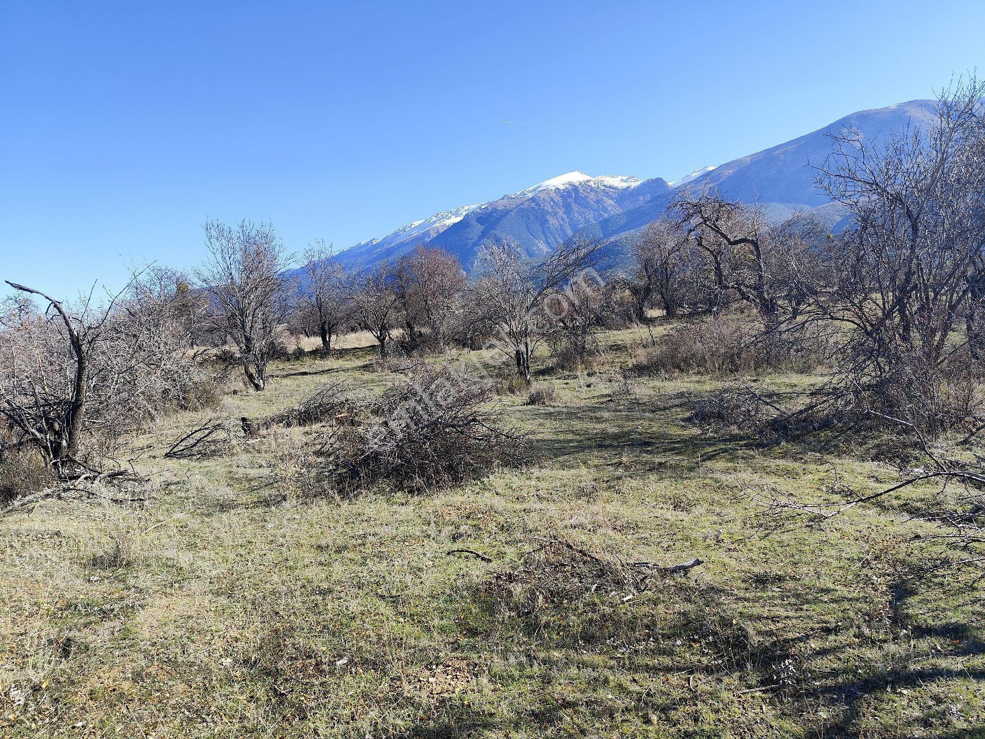 Isparta Senirkent 1800 M2 - Görsel 10