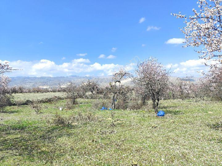 Isparta Senirkent 1800 M2 - Görsel 2