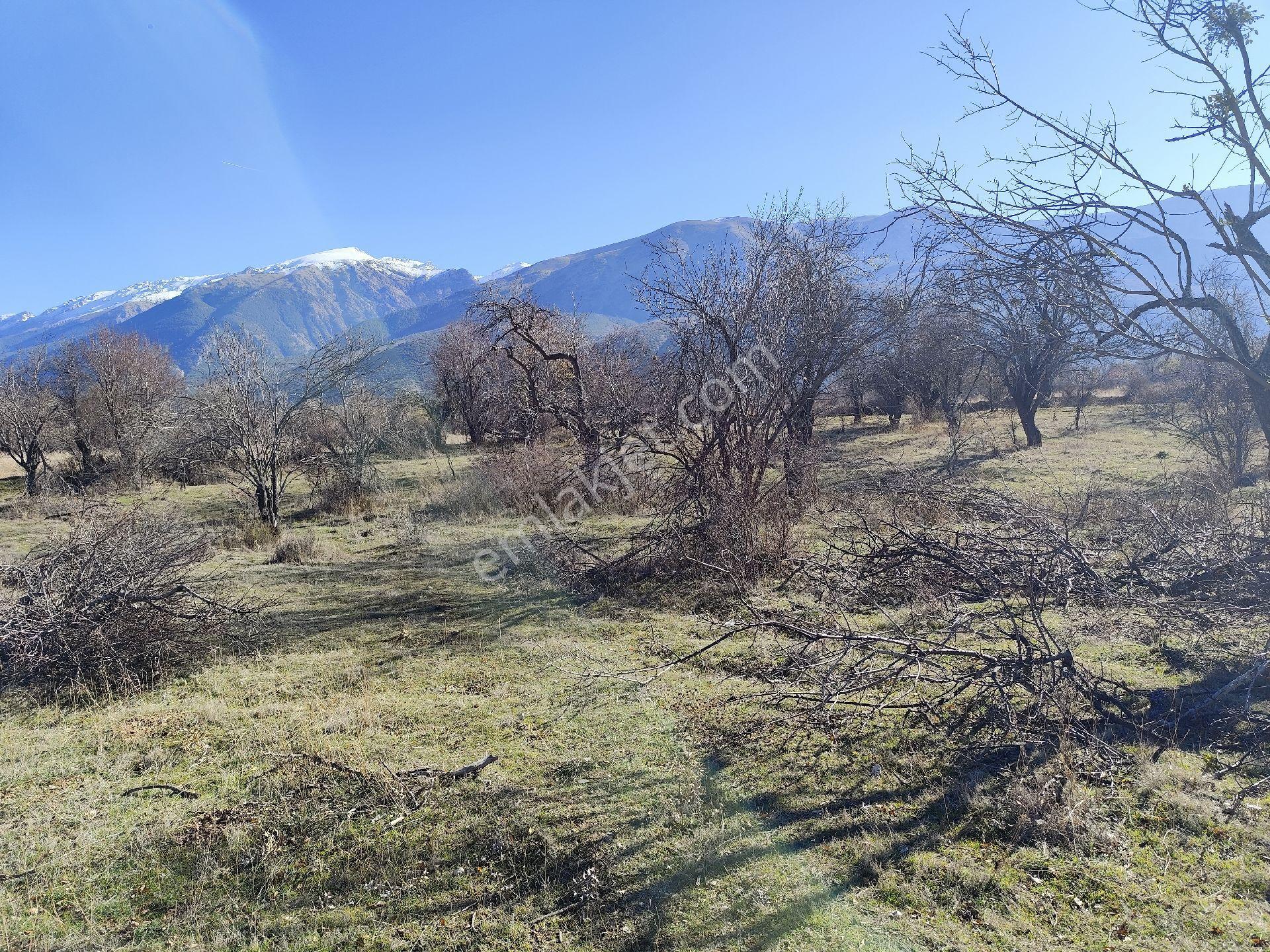 Isparta Senirkent 1800 M2 - Görsel 9