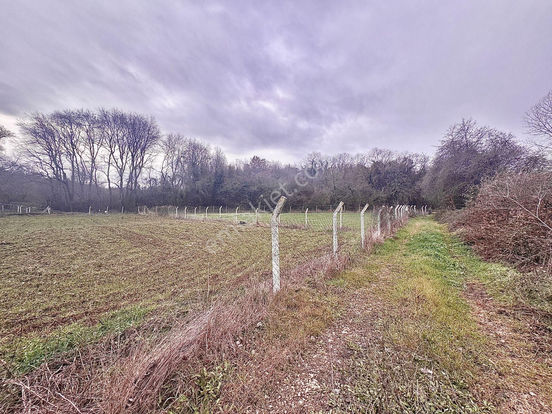 Goldhouse Dan Satılık Dağyenice De 1537m2 Arsa - Görsel 5