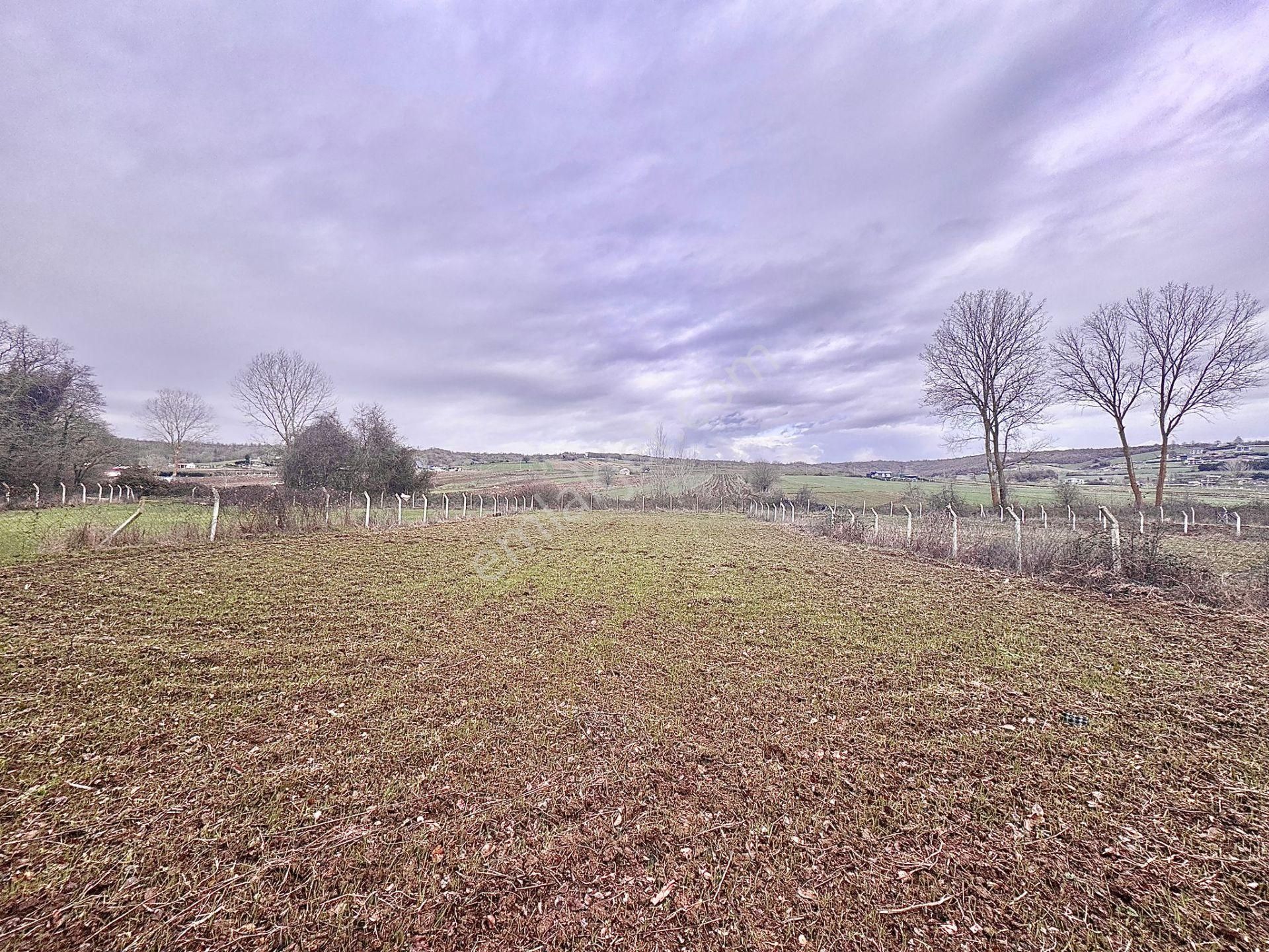 Goldhouse Dan Satılık Dağyenice De 1537m2 Arsa - Görsel 3