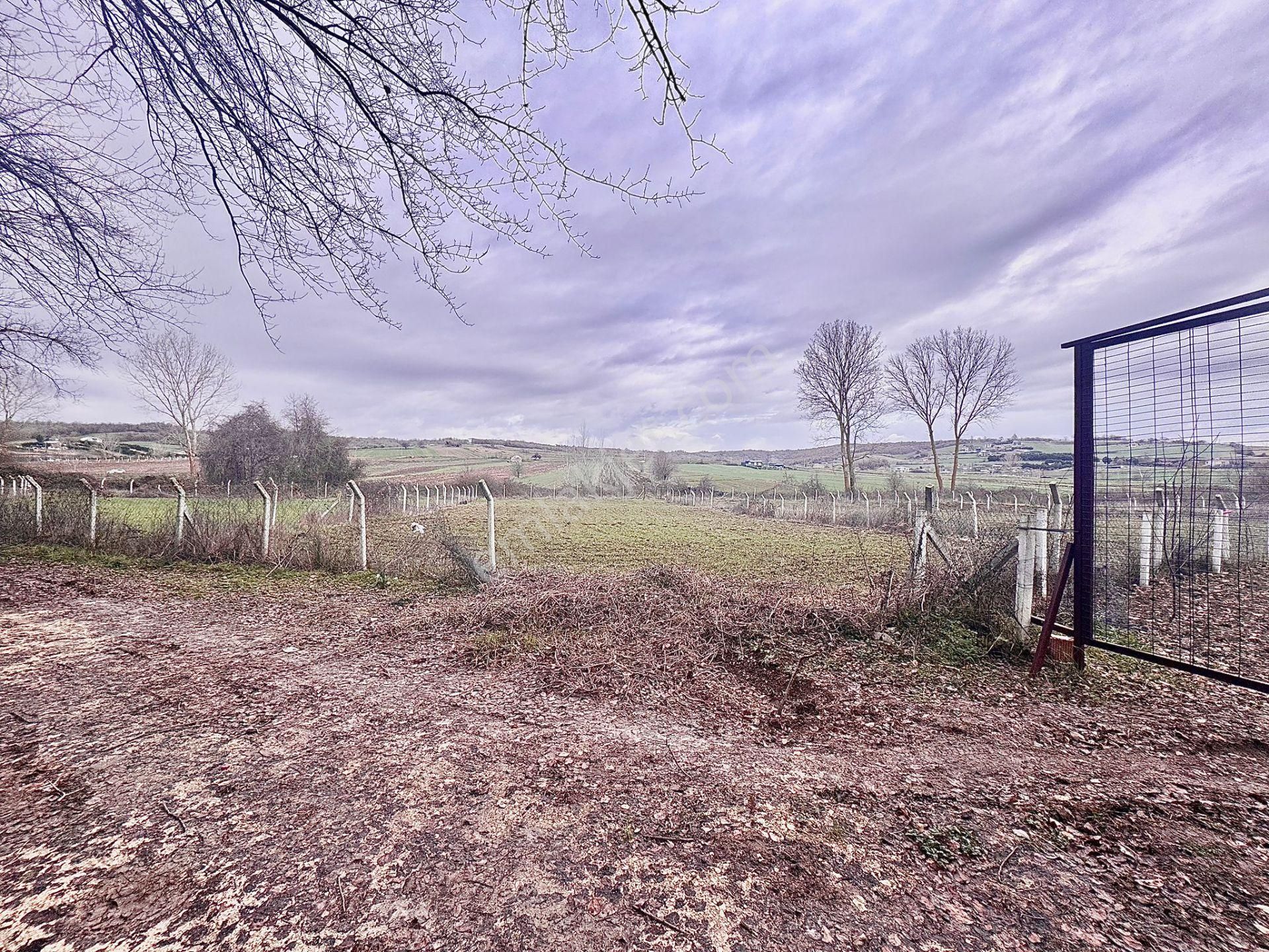 Goldhouse Dan Satılık Dağyenice De 1537m2 Arsa - Görsel 8