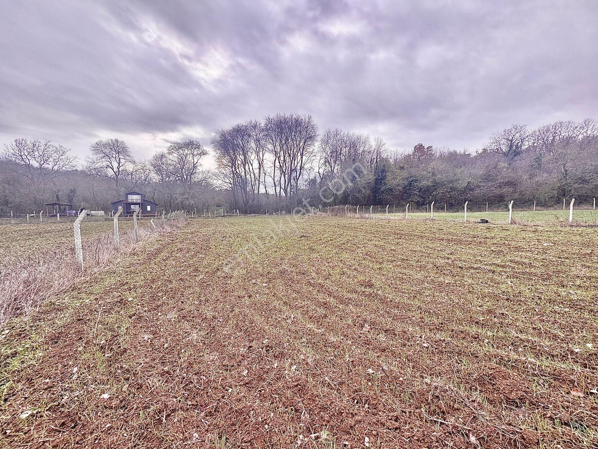 Goldhouse Dan Satılık Dağyenice De 1537m2 Arsa