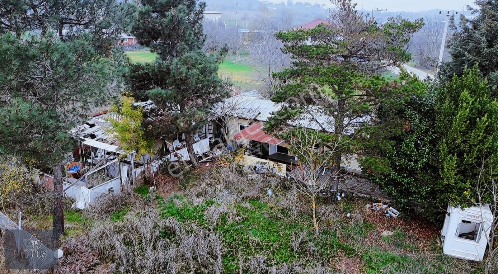 Kandıra Kanatlar Mh Kiralık 2400m2 Arazi Üzerine 140m2 Köyevi - Görsel 35