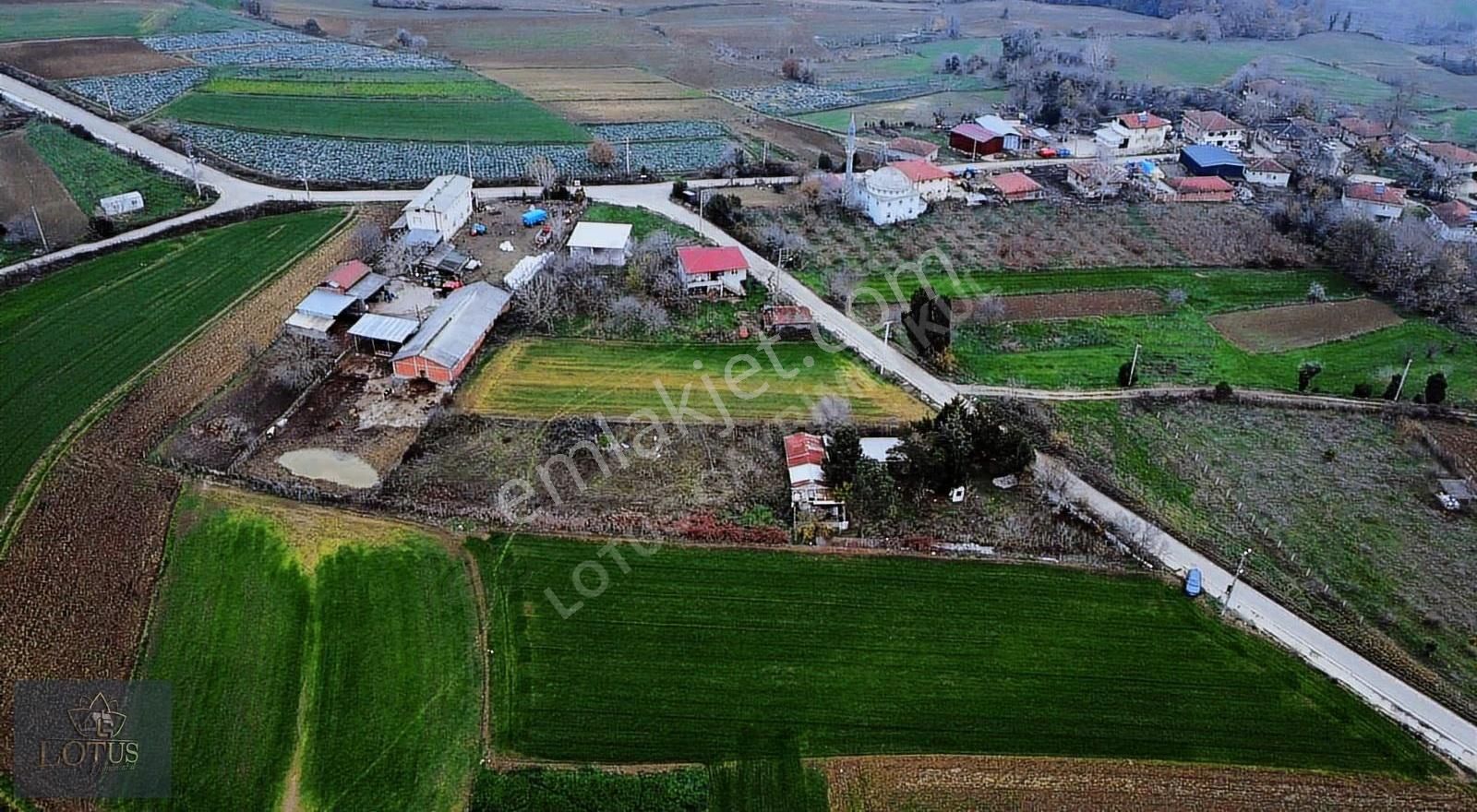 Kandıra Kanatlar Mh Kiralık 2400m2 Arazi Üzerine 140m2 Köyevi - Görsel 6