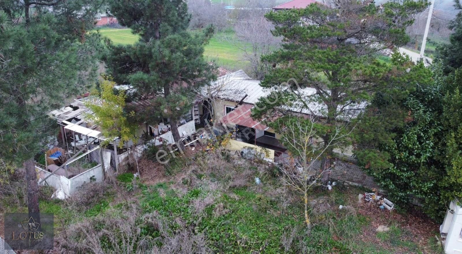 Kandıra Kanatlar Mh Kiralık 2400m2 Arazi Üzerine 140m2 Köyevi - Görsel 30