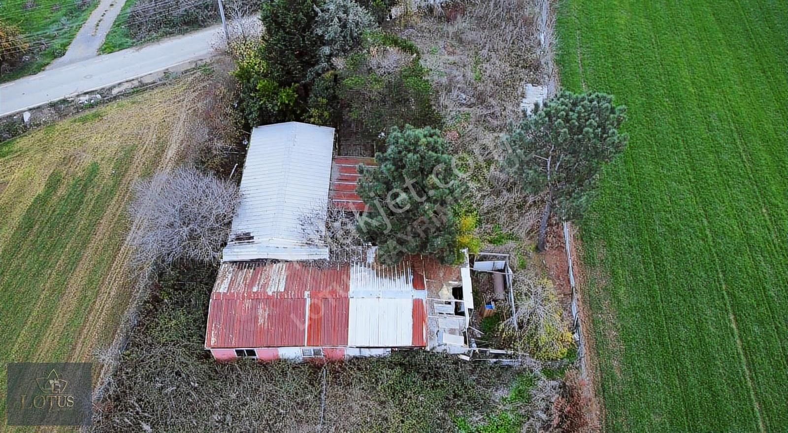 Kandıra Kanatlar Mh Kiralık 2400m2 Arazi Üzerine 140m2 Köyevi - Görsel 13