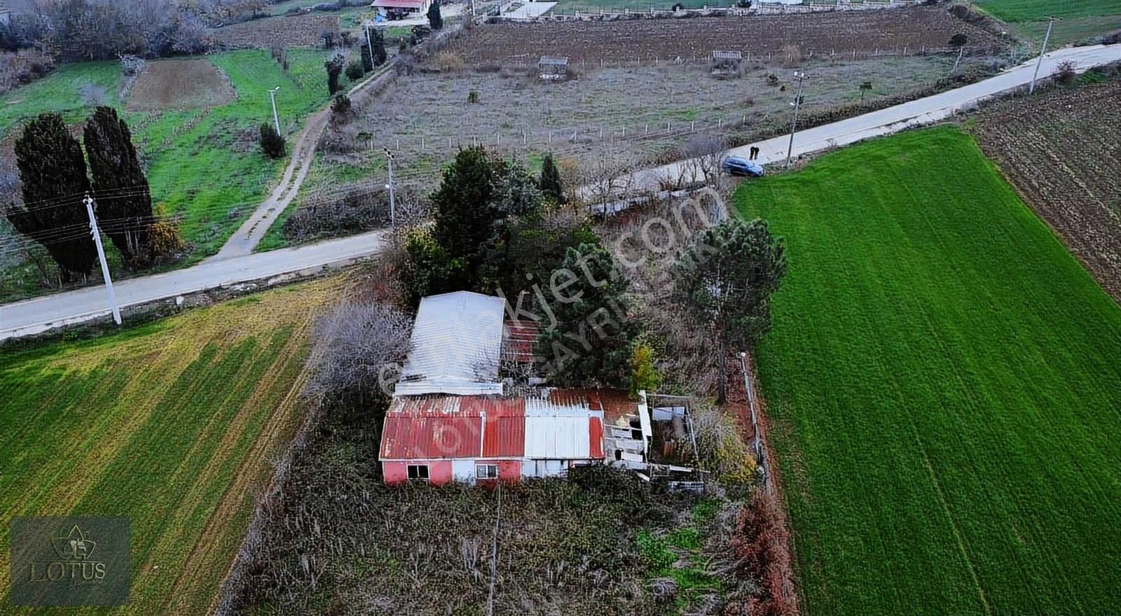 Kandıra Kanatlar Mh Kiralık 2400m2 Arazi Üzerine 140m2 Köyevi - Görsel 7
