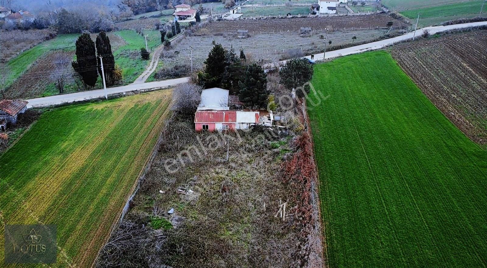 Kandıra Kanatlar Mh Kiralık 2400m2 Arazi Üzerine 140m2 Köyevi - Görsel 25