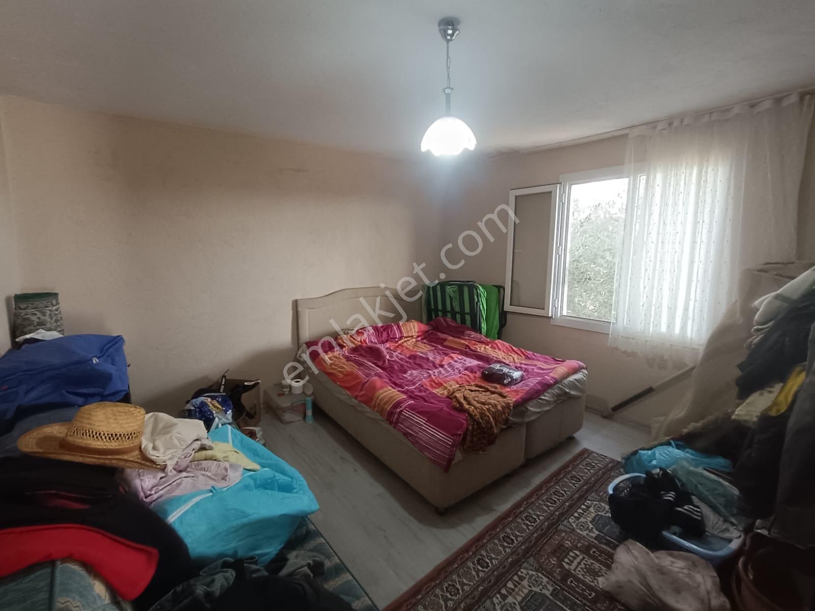 Salihli İğdecik Mah.de 12.436 M2 Satılık Zeytinlik - Görsel 2