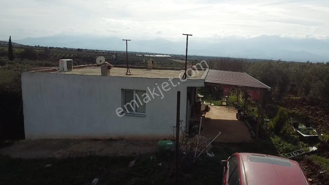 Salihli İğdecik Mah.de 12.436 M2 Satılık Zeytinlik - Görsel 22