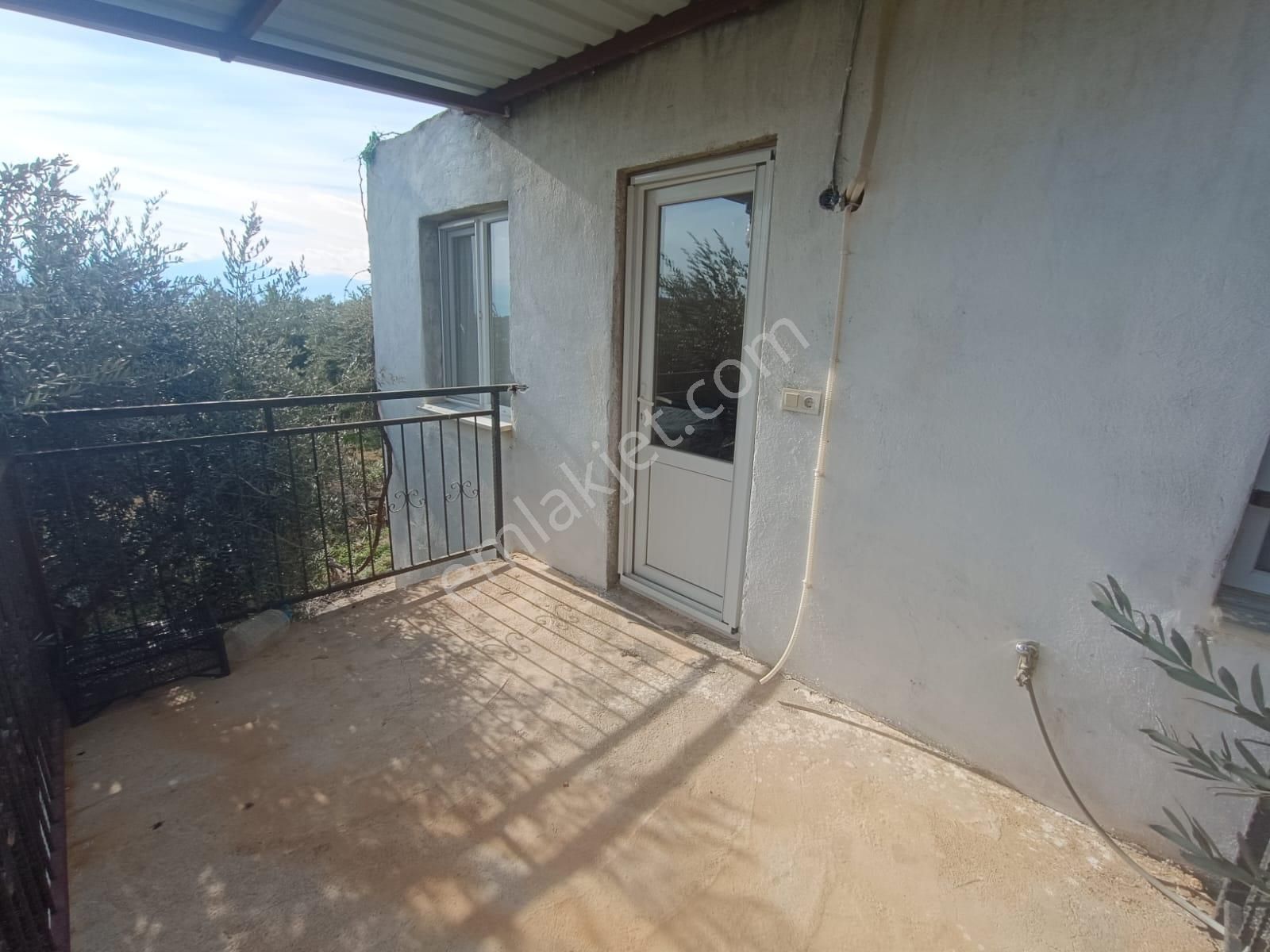Salihli İğdecik Mah.de 12.436 M2 Satılık Zeytinlik - Görsel 15