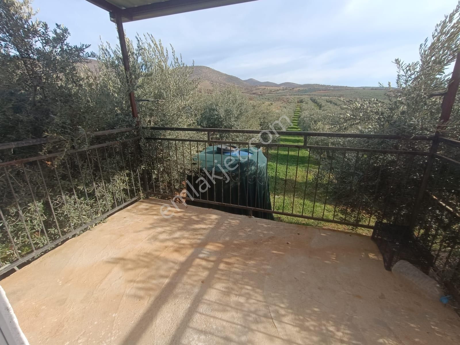 Salihli İğdecik Mah.de 12.436 M2 Satılık Zeytinlik - Görsel 4