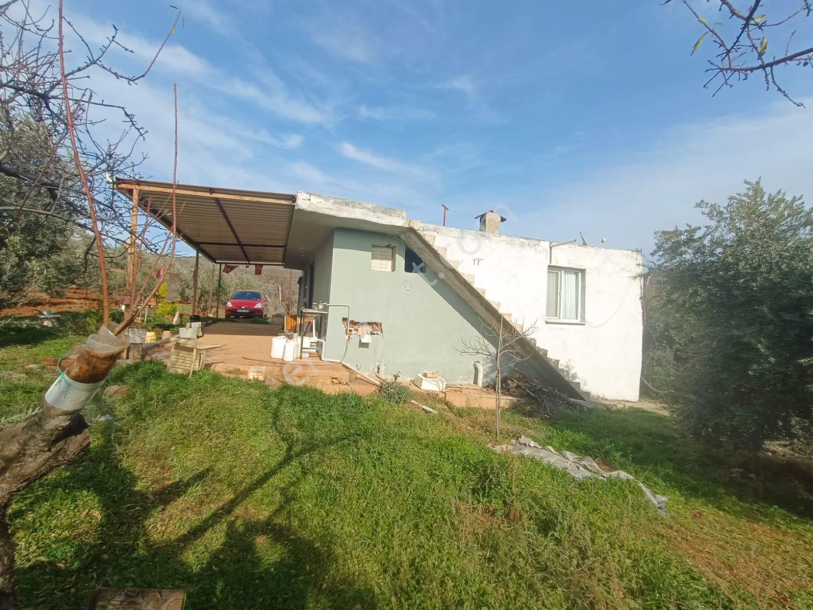 Salihli İğdecik Mah.de 12.436 M2 Satılık Zeytinlik - Görsel 16