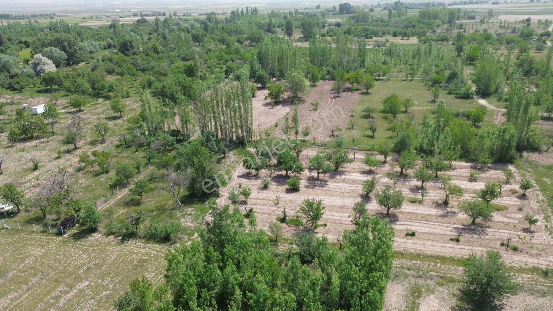 Konya / Meram / Hatunsaray Da 559 M² Hisseli Tarla - Görsel 2