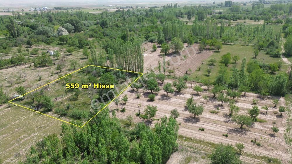Konya / Meram / Hatunsaray Da 559 M² Hisseli Tarla - Görsel 3