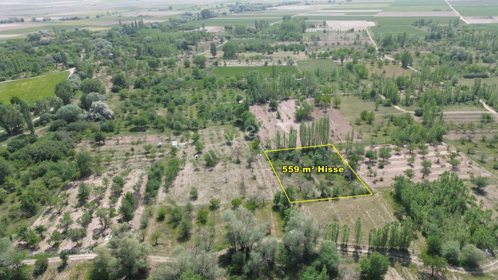 Konya / Meram / Hatunsaray Da 559 M² Hisseli Tarla - Görsel 5