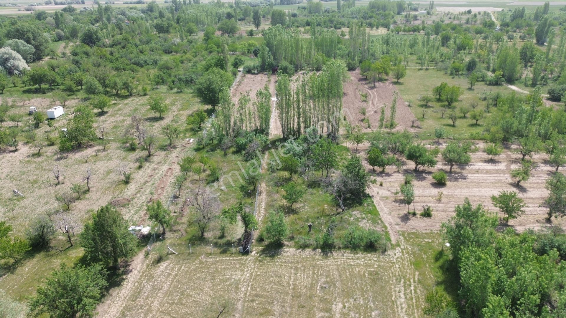 Konya / Meram / Hatunsaray Da 559 M² Hisseli Tarla - Görsel 4