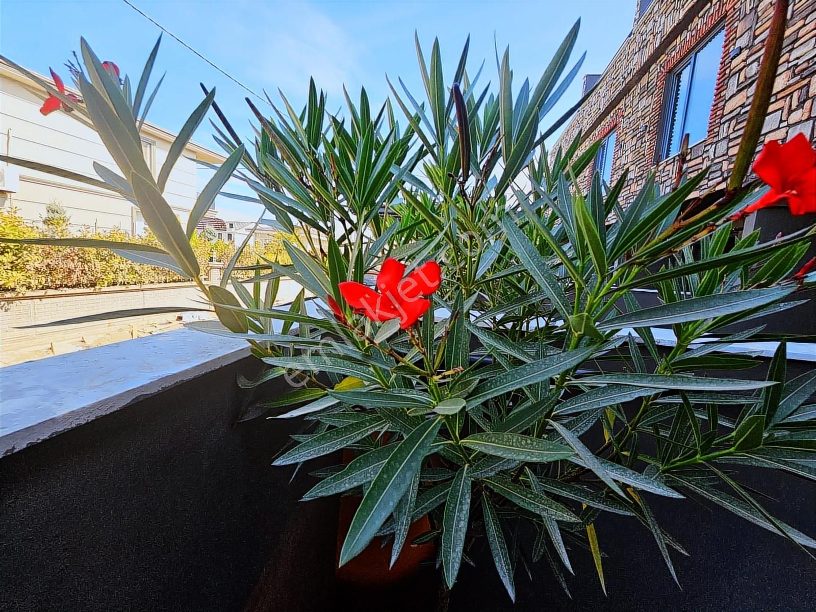 Deniz'den 4+1 Çift Cephe Bahçeli, Merkezi Konumda Villa - Görsel 4