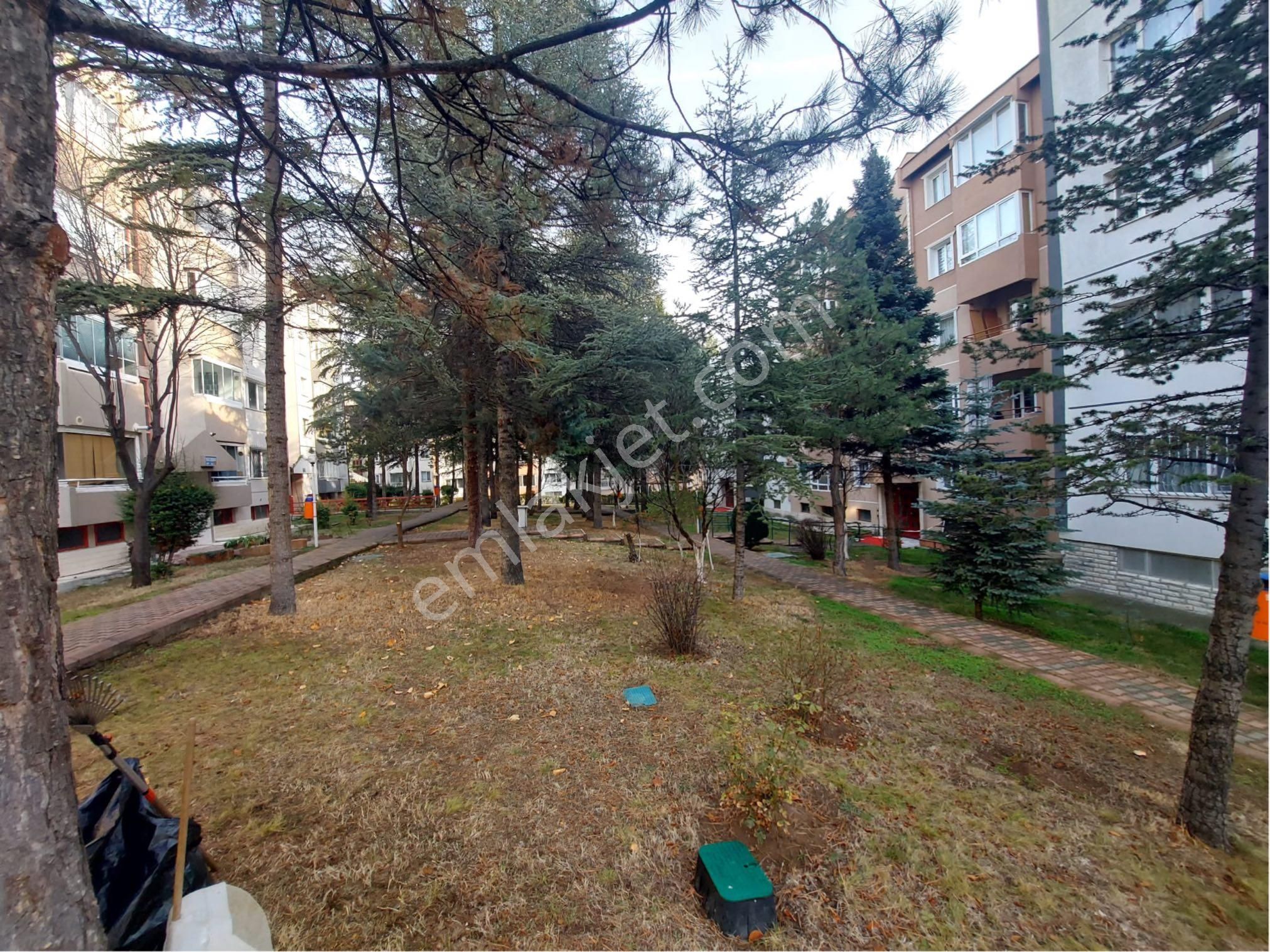 'eryaman Efor''dan Okul Yanı Katta Yapılı 1+1 Kiralık Daire - Görsel 3