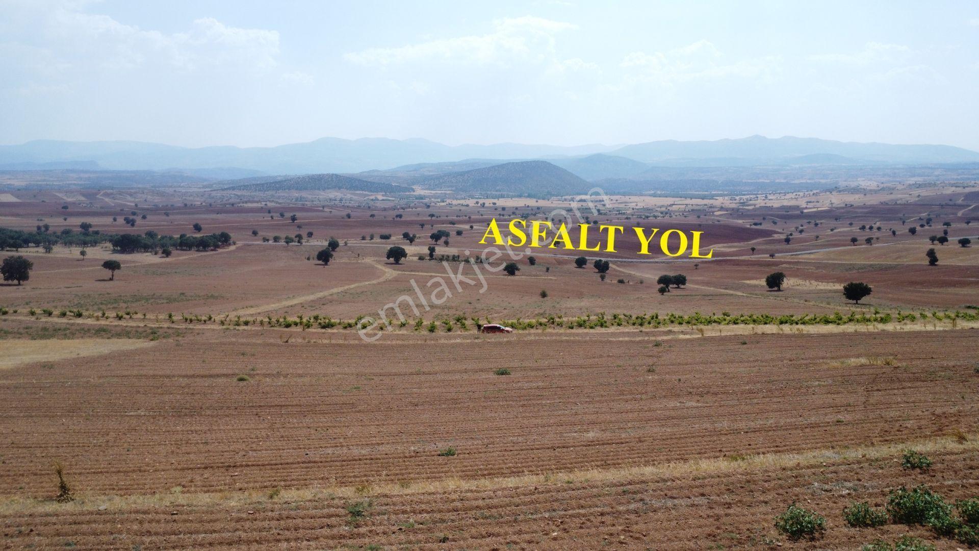 Karaman / Merkez / Kızılyaka Mahallesinde 1.828 M² Müstakil Tapulu Tarla - Görsel 5