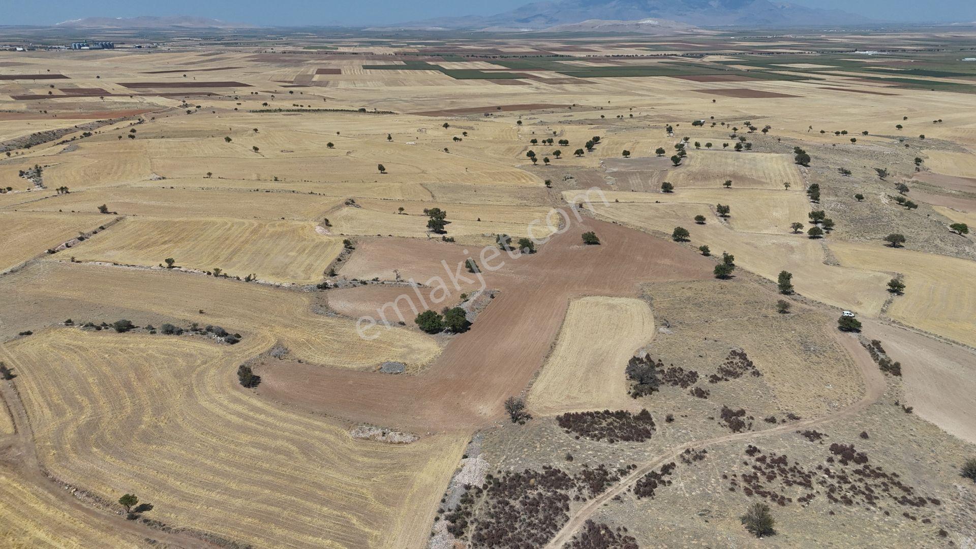 Karaman / Kazımkarabekir / Subaşı Mahallesinde 22.361 M² Müstakil Tapulu Tarla - Görsel 8