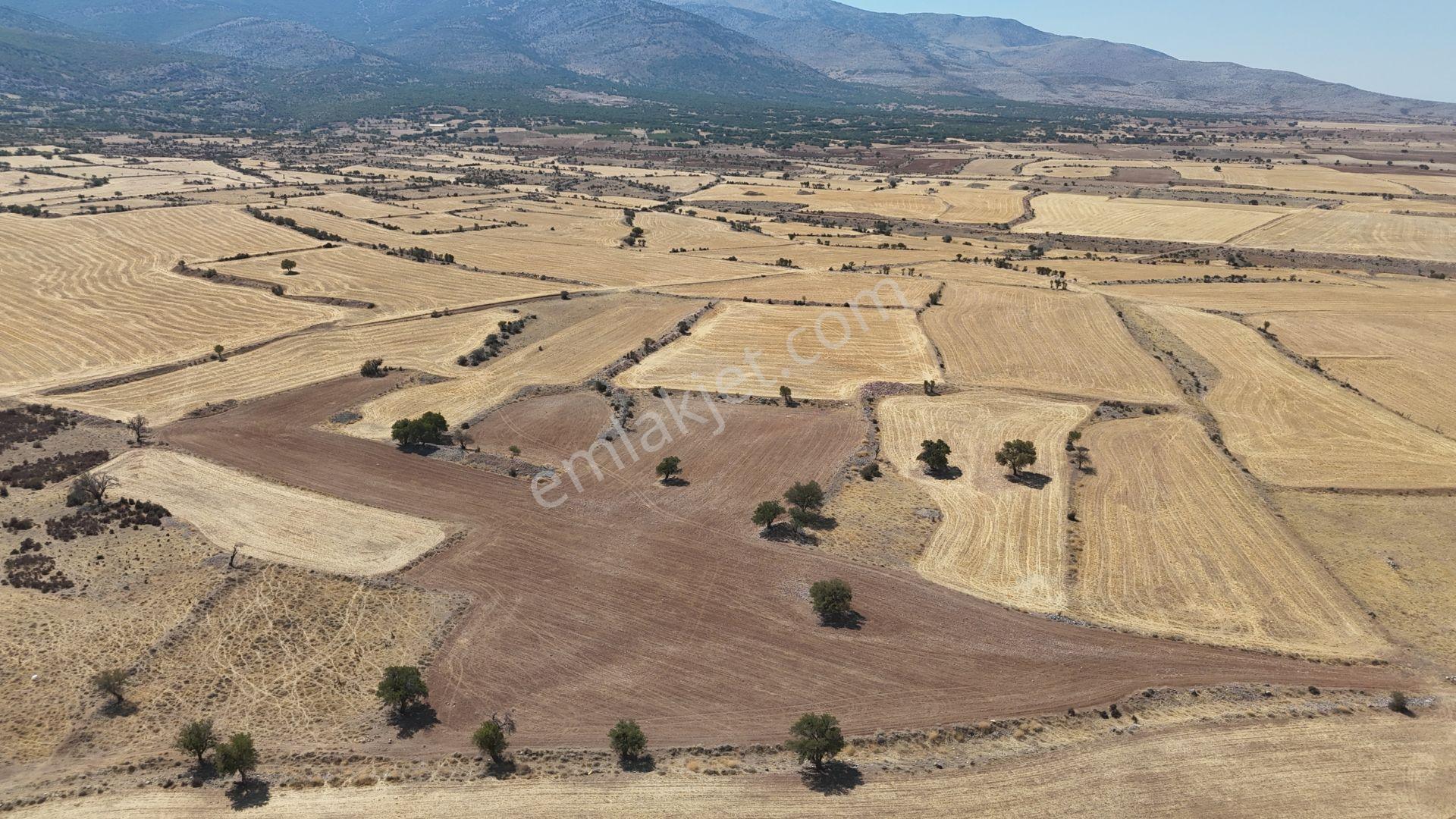Karaman / Kazımkarabekir / Subaşı Mahallesinde 22.361 M² Müstakil Tapulu Tarla - Görsel 3
