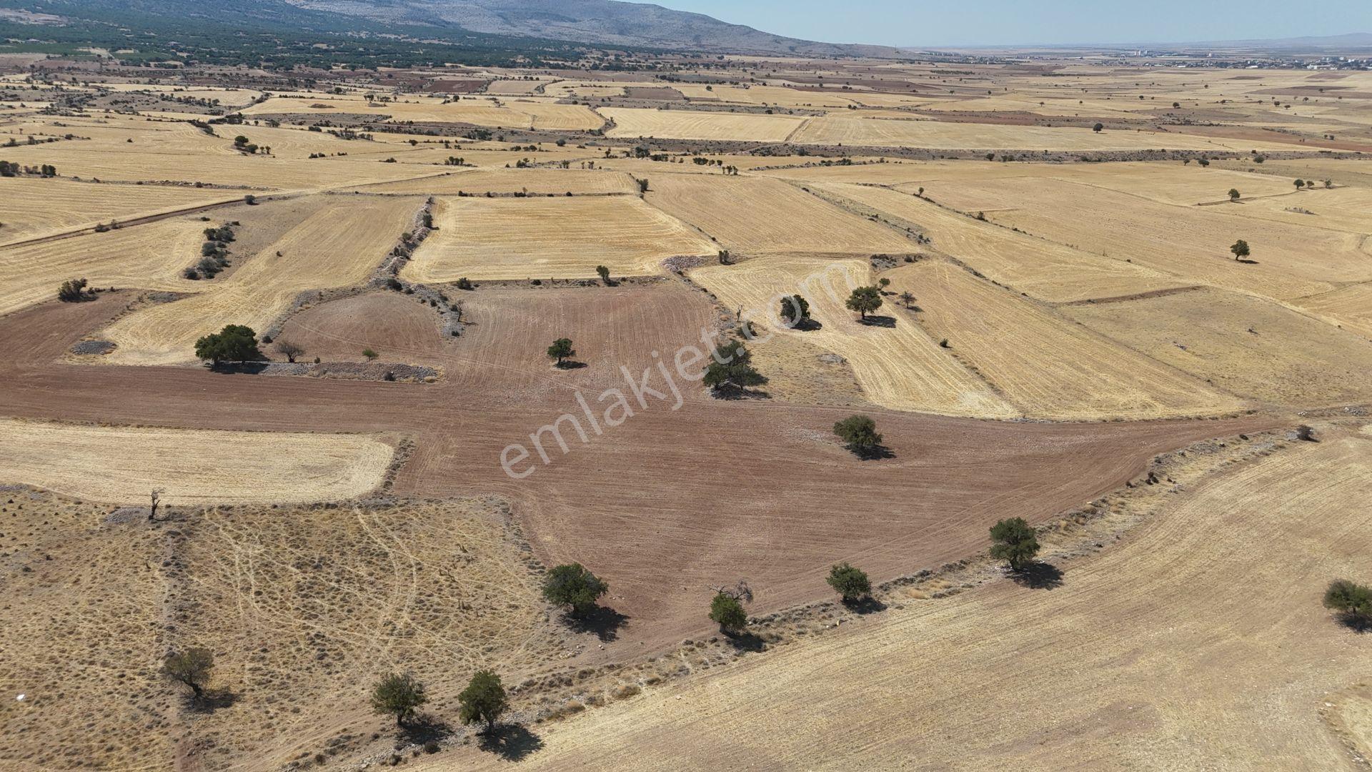 Karaman / Kazımkarabekir / Subaşı Mahallesinde 22.361 M² Müstakil Tapulu Tarla - Görsel 7