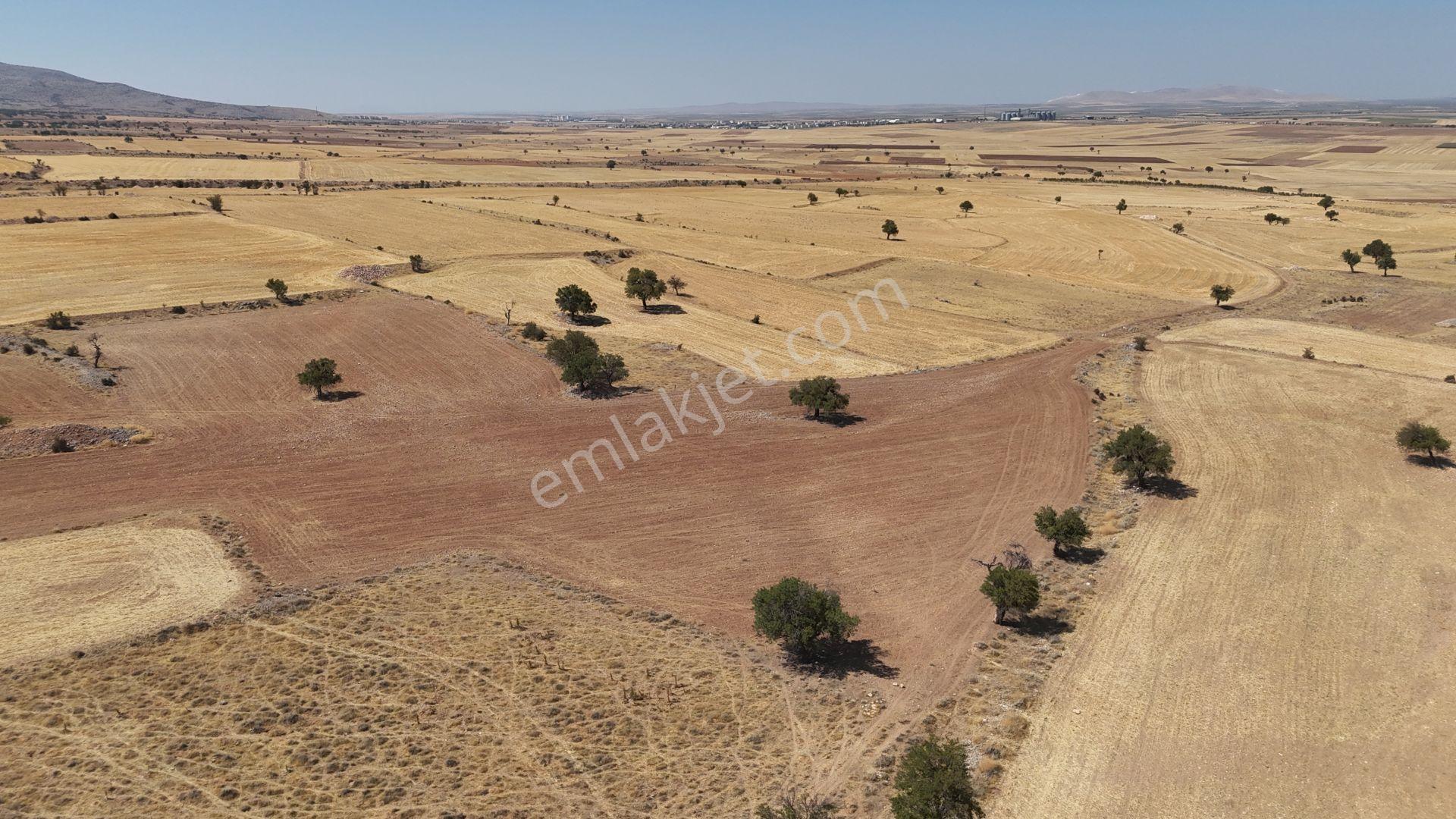 Karaman / Kazımkarabekir / Subaşı Mahallesinde 22.361 M² Müstakil Tapulu Tarla - Görsel 2