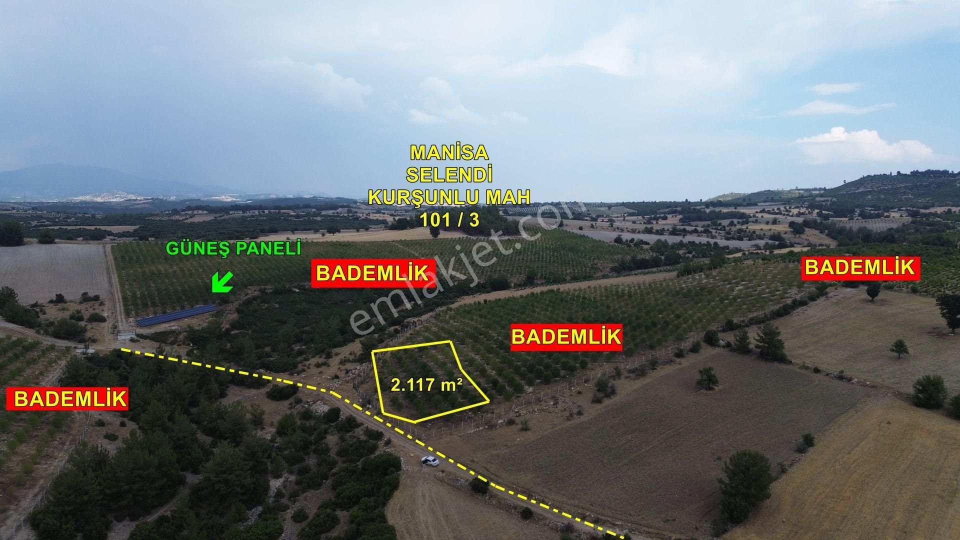 Hazır Bademlik / Manisa / 2.117 M² / Manisa / Selendi / Kurşunlu Mah - Görsel 2