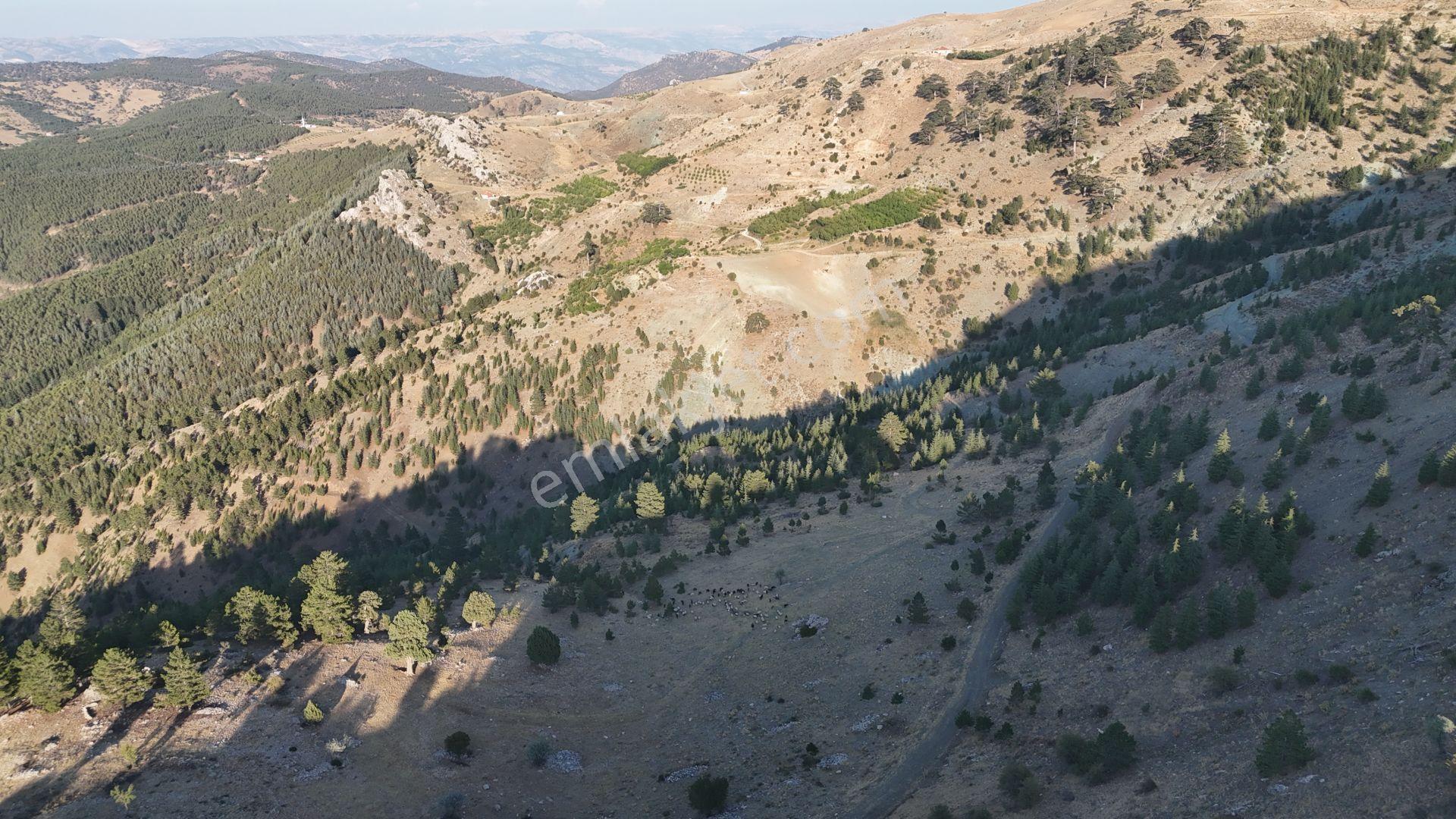 Karaman / Merkez / Bayır Mahallesinde 7.047 M² Müstakil Tapulu Tarla - Görsel 9