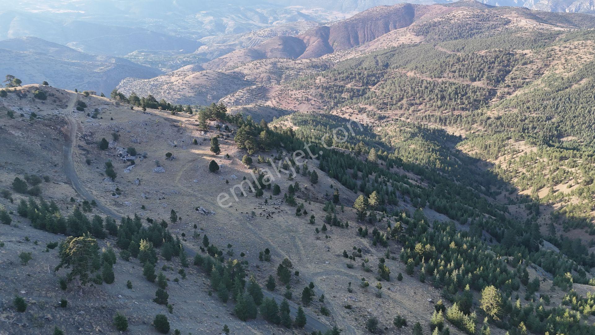 Karaman / Merkez / Bayır Mahallesinde 7.047 M² Müstakil Tapulu Tarla - Görsel 3