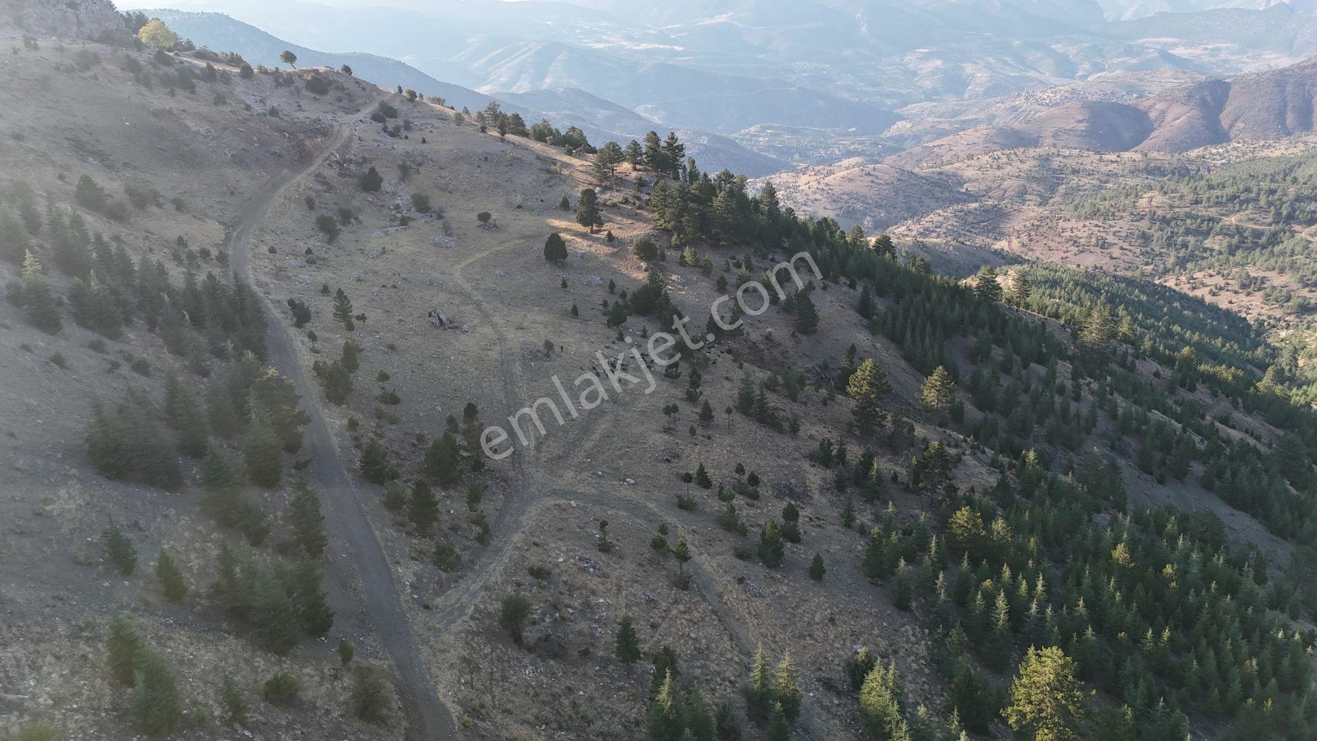 Karaman / Merkez / Bayır Mahallesinde 7.047 M² Müstakil Tapulu Tarla - Görsel 8