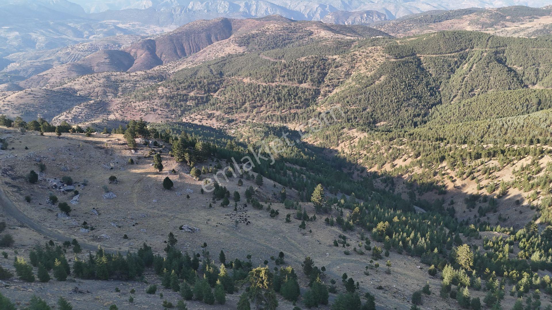 Karaman / Merkez / Bayır Mahallesinde 7.047 M² Müstakil Tapulu Tarla - Görsel 2