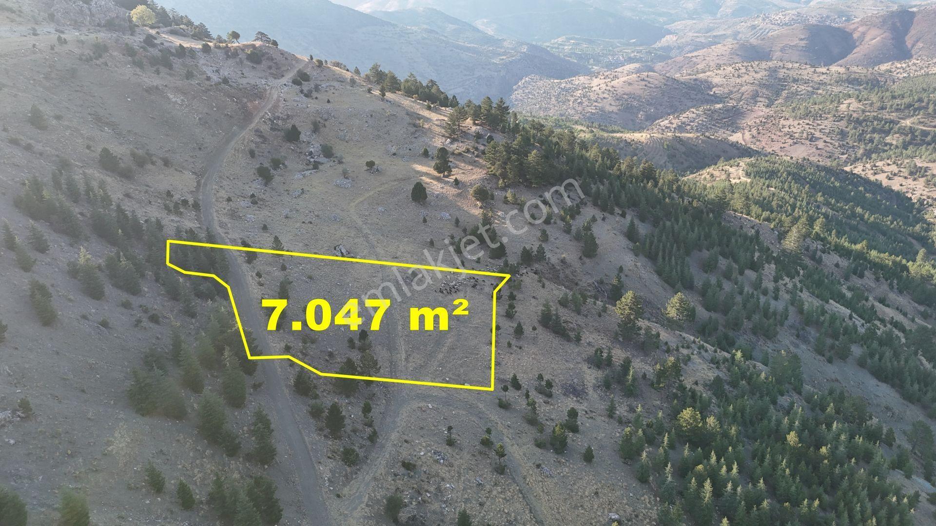 Karaman / Merkez / Bayır Mahallesinde 7.047 M² Müstakil Tapulu Tarla - Görsel 6