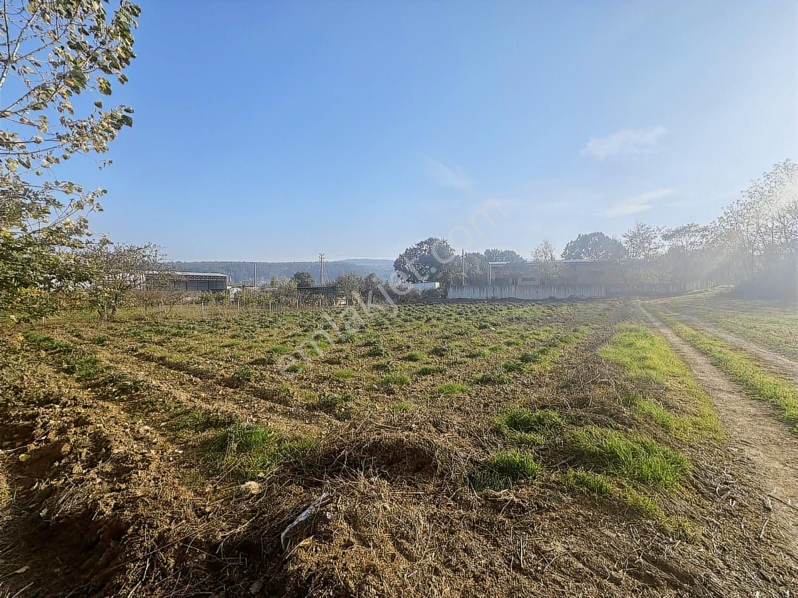 Pw Plus'tan Nilüfer Hasanağa'da 1350m² Müstakil Tapulu Arazi - Görsel 12