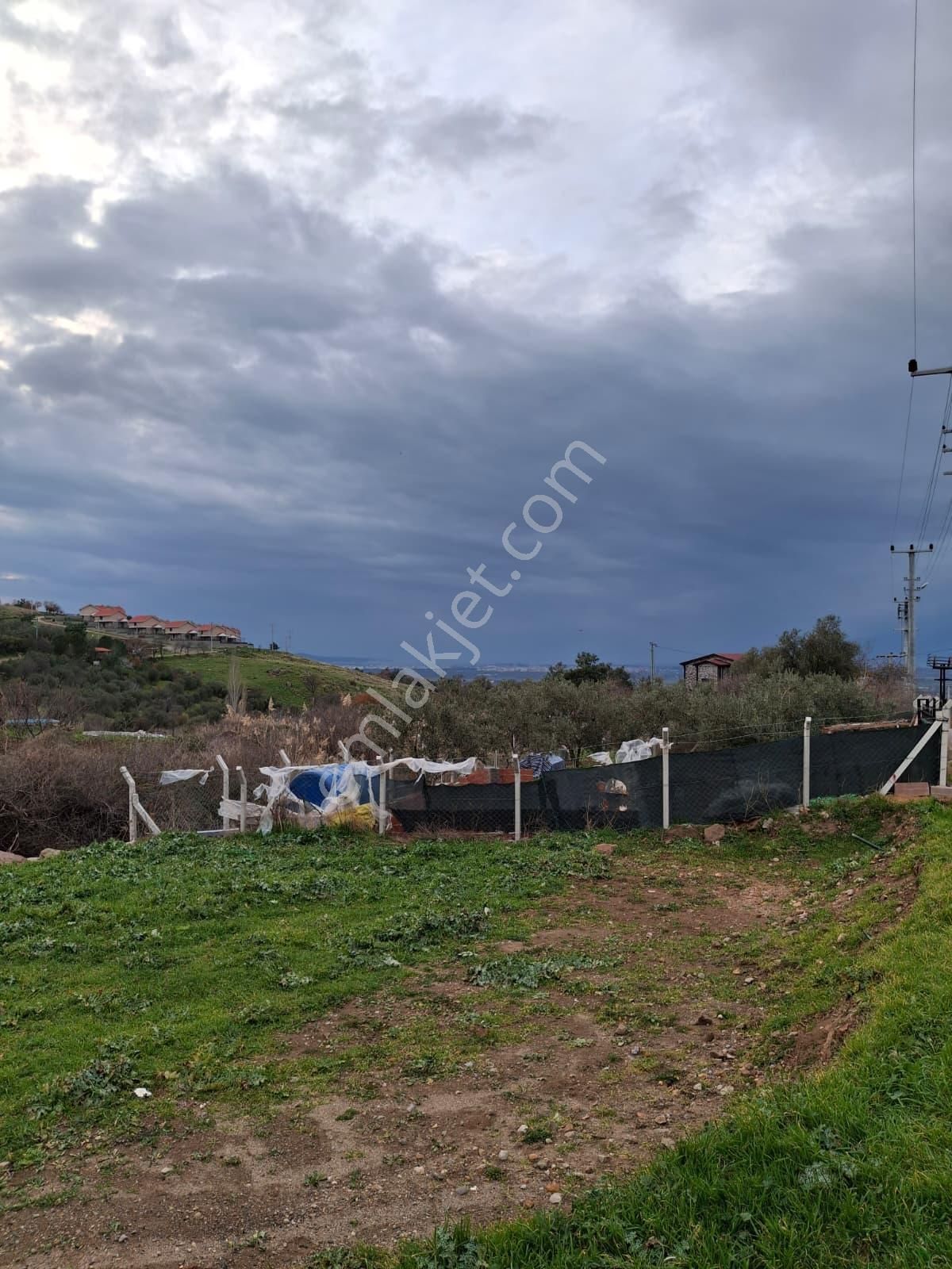Pak Yapı'dan Satılık Hobi Bahçesi Burhaniye Dutluca Mah. - Görsel 4