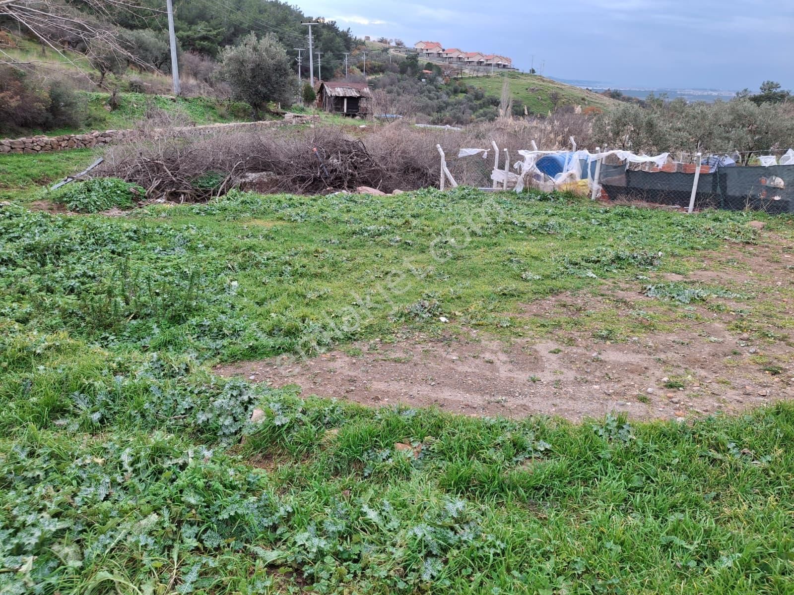 Pak Yapı'dan Satılık Hobi Bahçesi Burhaniye Dutluca Mah. - Görsel 2