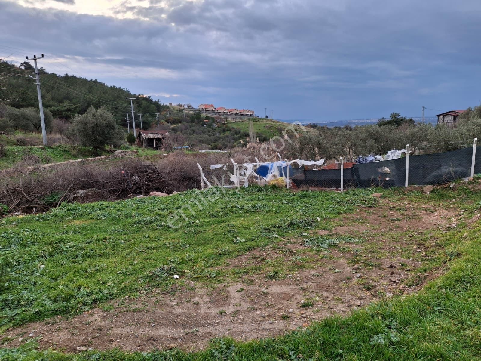 Pak Yapı'dan Satılık Hobi Bahçesi Burhaniye Dutluca Mah. - Görsel 6