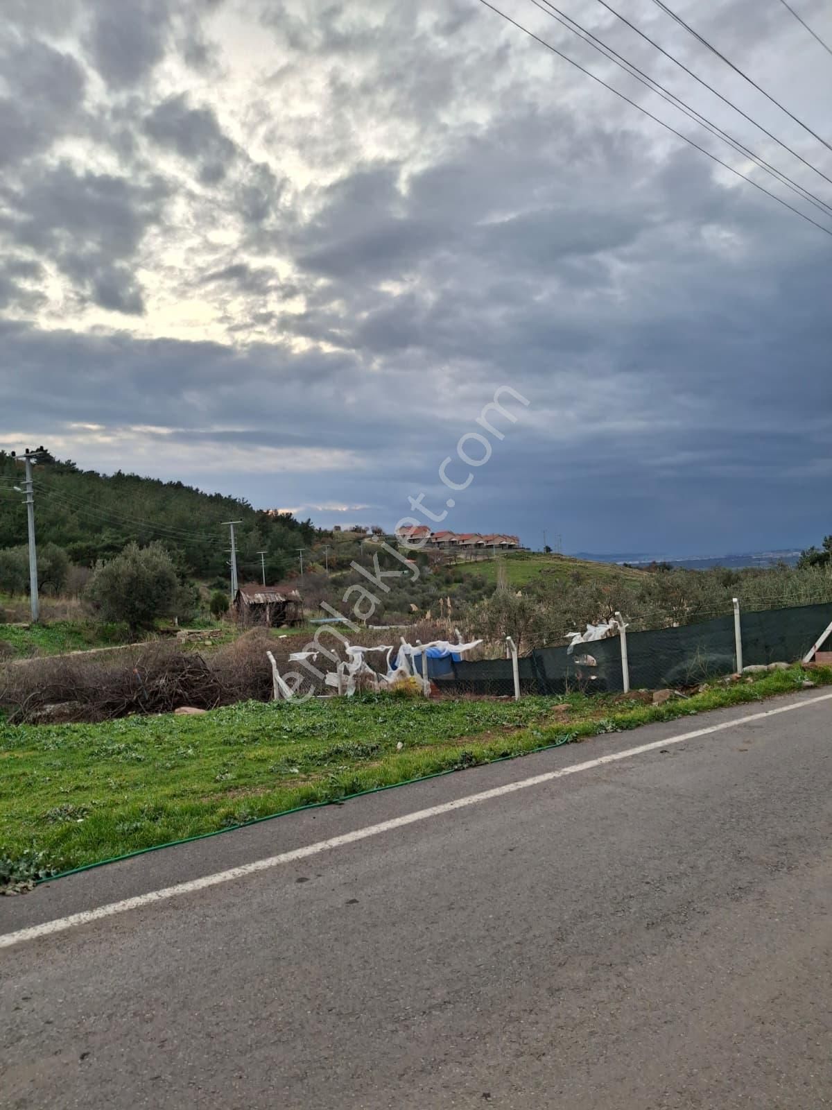 Pak Yapı'dan Satılık Hobi Bahçesi Burhaniye Dutluca Mah. - Görsel 3