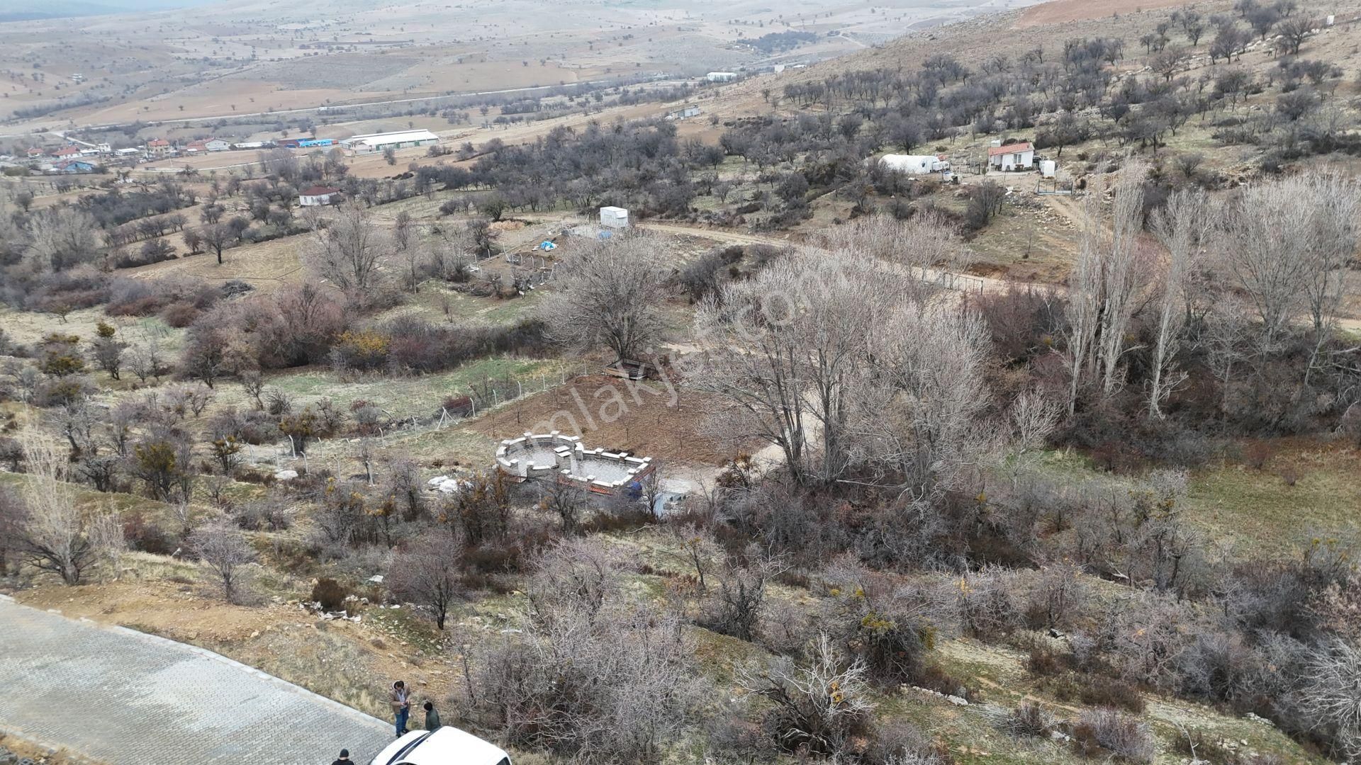 Konya / Meram / Sarıkız Mahallesinde İntikal Tapulu 147 M² Bahçe - Görsel 3