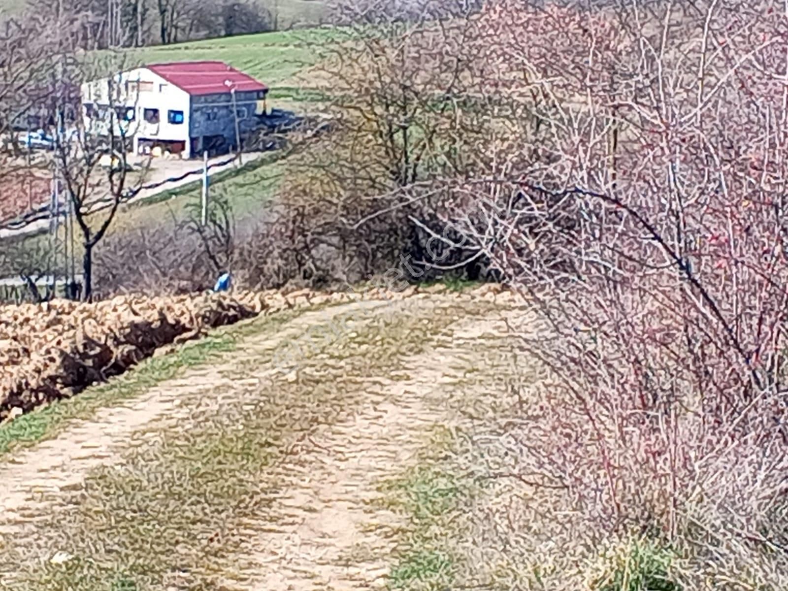Yenişehir Mecidiyeköy De Köye 200 Metre Mesafede 4,105,m2-tarla - Görsel 4