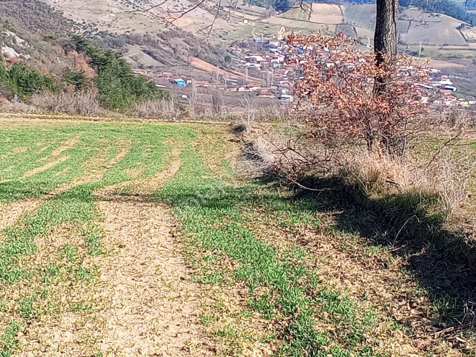 Yenişehir Mecidiyeköy De Köye 200 Metre Mesafede 4,105,m2-tarla - Görsel 19