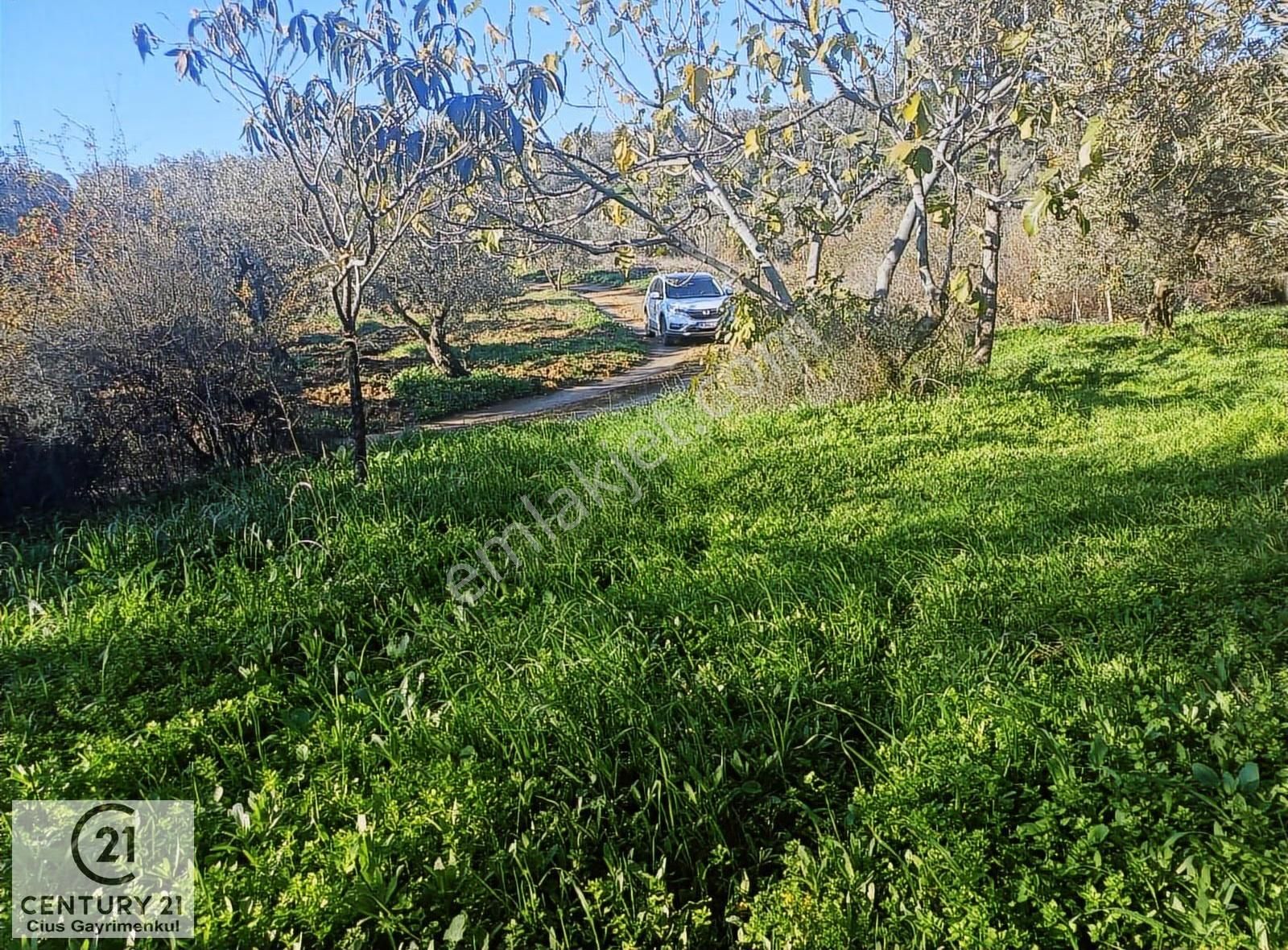 C21 Cius; Umurbey'de Kadastro Yoluna Cephe Düz Satılık 2908 M2 - Görsel 16